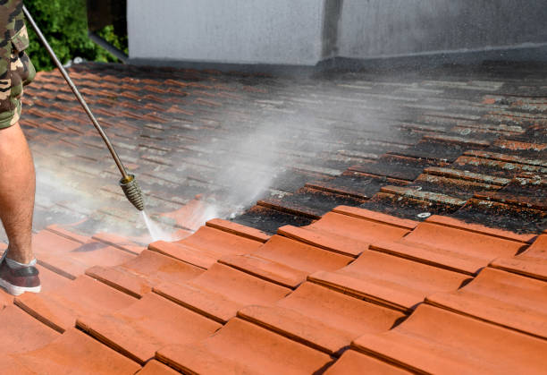 Best Roof Power Washing Services  in Fort Totten, ND